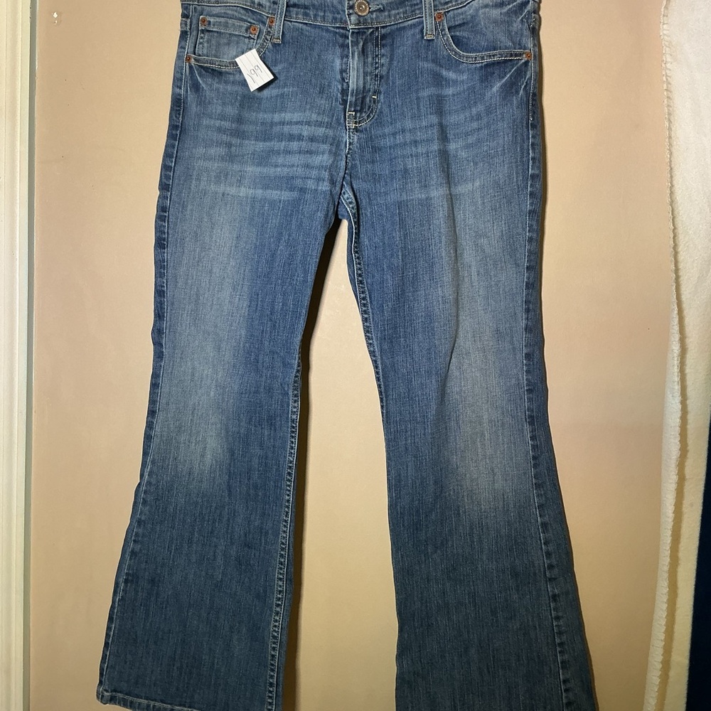 American Eagle Outfitters Blue Flare Jeans